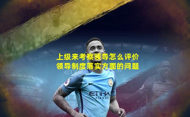 上级来考察领导怎么评价领导制度落实方面的问题