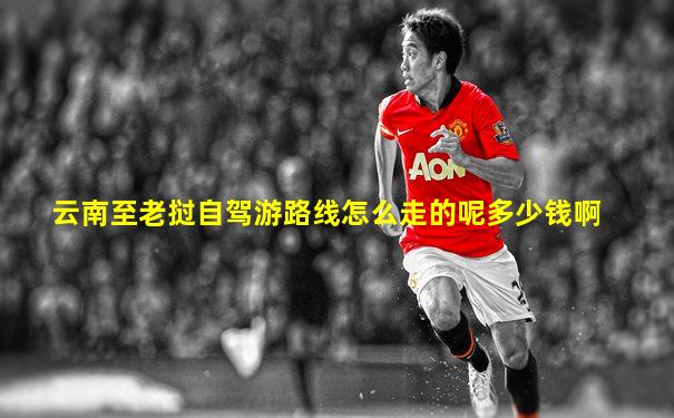 云南至老挝自驾游路线怎么走的呢多少钱啊