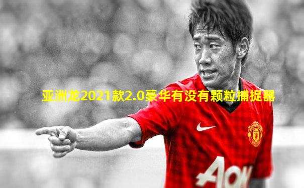 亚洲龙2021款2.0豪华有没有颗粒捕捉器