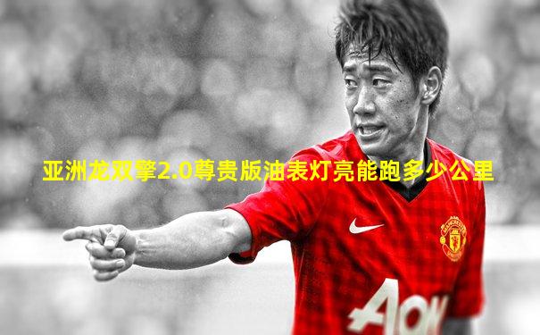亚洲龙双擎2.0尊贵版油表灯亮能跑多少公里