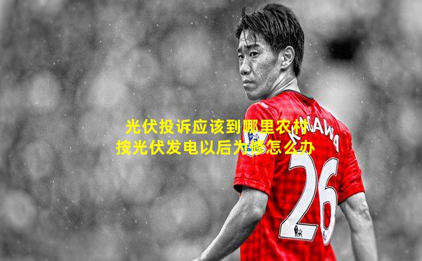 光伏投诉应该到哪里农村按光伏发电以后为修怎么办