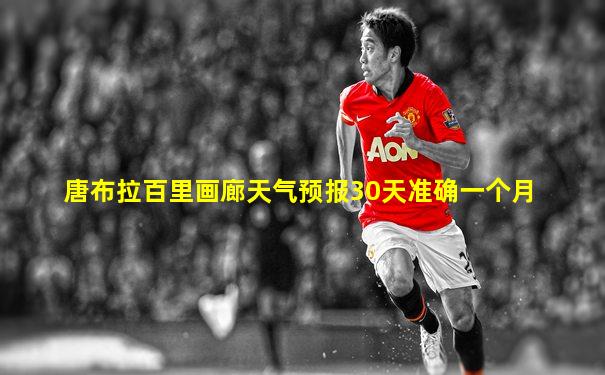 唐布拉百里画廊天气预报30天准确一个月