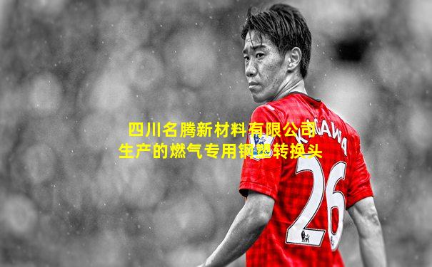 四川名腾新材料有限公司生产的燃气专用钢塑转换头