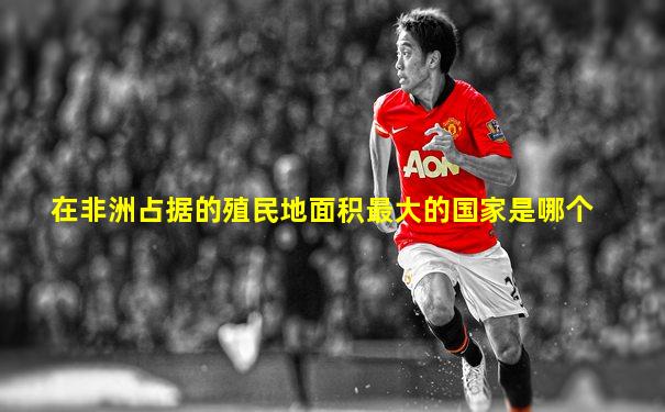 在非洲占据的殖民地面积最大的国家是哪个