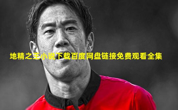 地精之王小说下载百度网盘链接免费观看全集