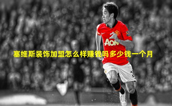 塞维斯装饰加盟怎么样赚钱吗多少钱一个月