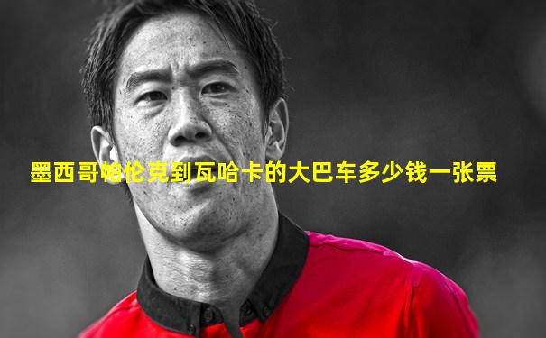 墨西哥帕伦克到瓦哈卡的大巴车多少钱一张票
