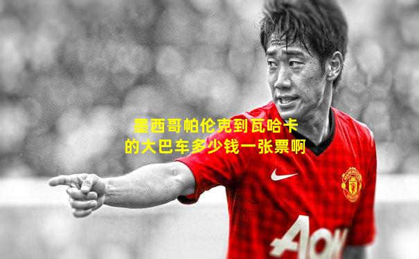 墨西哥帕伦克到瓦哈卡的大巴车多少钱一张票啊