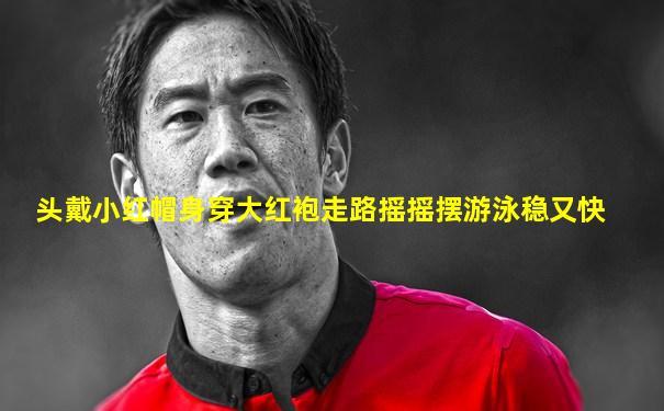 头戴小红帽身穿大红袍走路摇摇摆游泳稳又快
