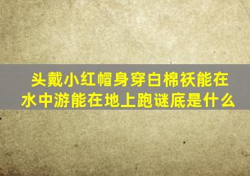 头戴小红帽身穿白棉袄能在水中游能在地上跑谜底是什么