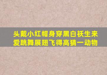 头戴小红帽身穿黑白袄生来爱跳舞展翅飞得高猜一动物
