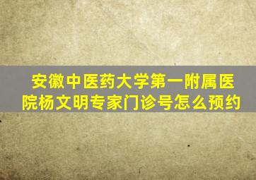 安徽中医药大学第一附属医院杨文明专家门诊号怎么预约