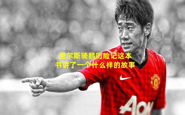 尼尔斯骑鹅历险记这本书讲了一个什么样的故事