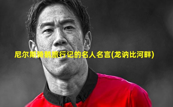 尼尔斯骑鹅旅行记的名人名言(龙讷比河畔)