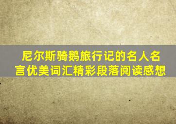 尼尔斯骑鹅旅行记的名人名言优美词汇精彩段落阅读感想
