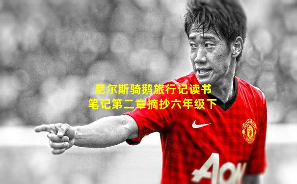尼尔斯骑鹅旅行记读书笔记第二章摘抄六年级下