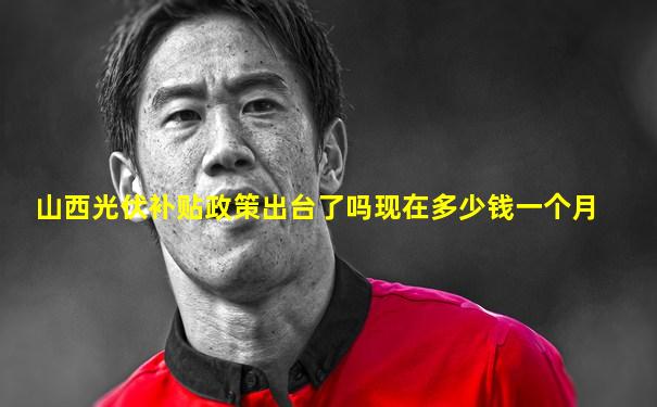 山西光伏补贴政策出台了吗现在多少钱一个月