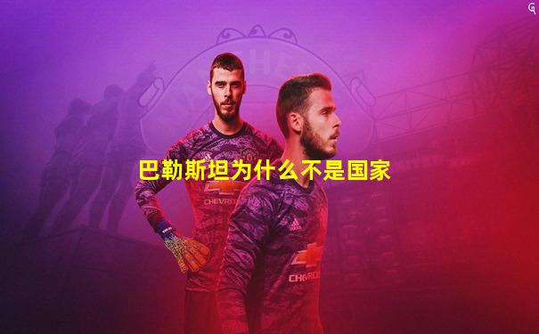 巴勒斯坦为什么不是国家