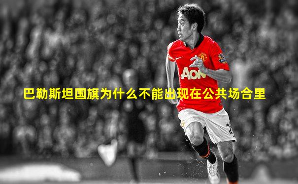 巴勒斯坦国旗为什么不能出现在公共场合里