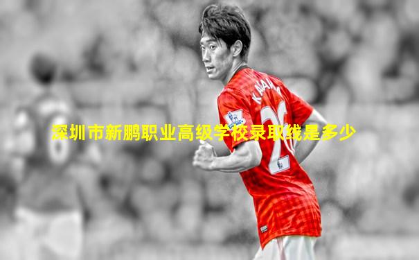 深圳市新鹏职业高级学校录取线是多少