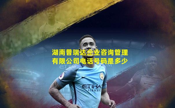 湖南普瑞达企业咨询管理有限公司电话号码是多少