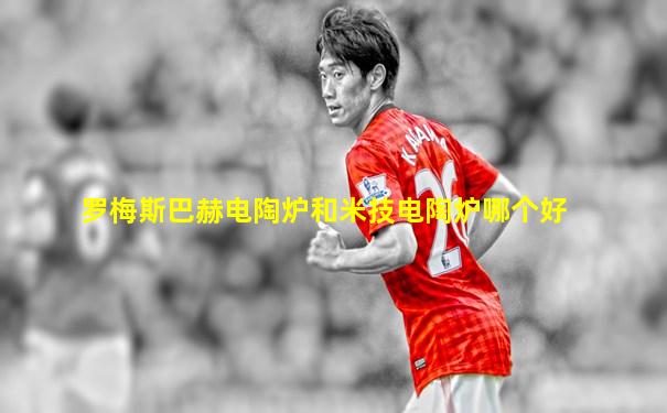 罗梅斯巴赫电陶炉和米技电陶炉哪个好