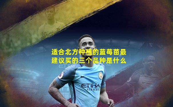 适合北方种植的蓝莓苗最建议买的三个品种是什么