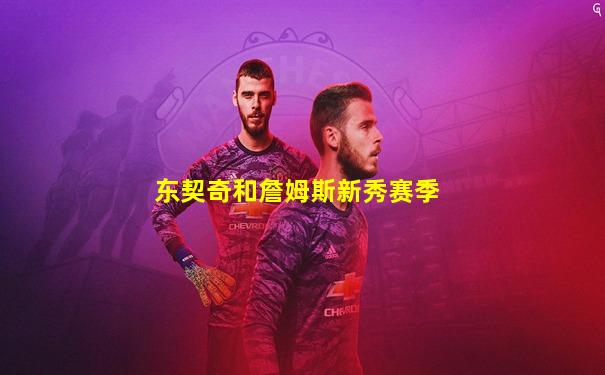 东契奇和詹姆斯新秀赛季