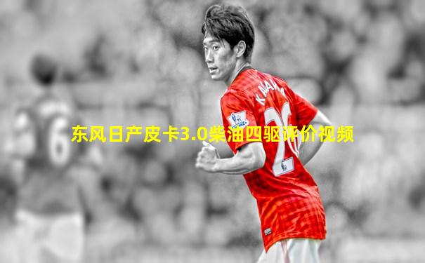 东风日产皮卡3.0柴油四驱评价视频