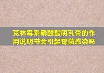 克林霉素磷酸酯阴乳膏的作用说明书会引起霉菌感染吗