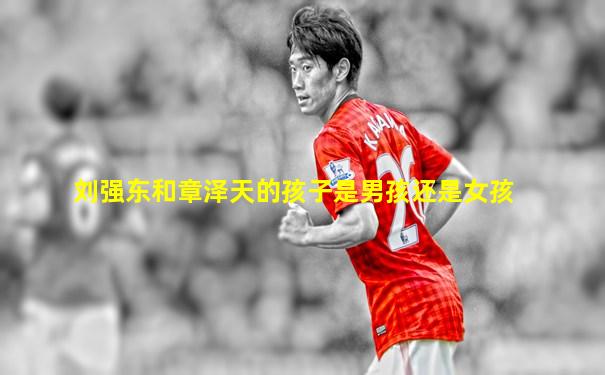 刘强东和章泽天的孩子是男孩还是女孩