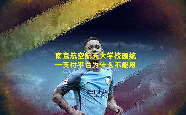 南京航空航天大学校园统一支付平台为什么不能用