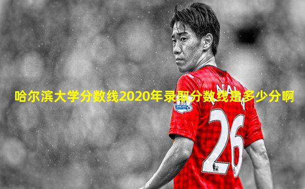哈尔滨大学分数线2020年录取分数线是多少分啊
