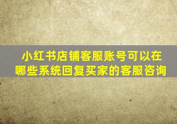 小红书店铺客服账号可以在哪些系统回复买家的客服咨询