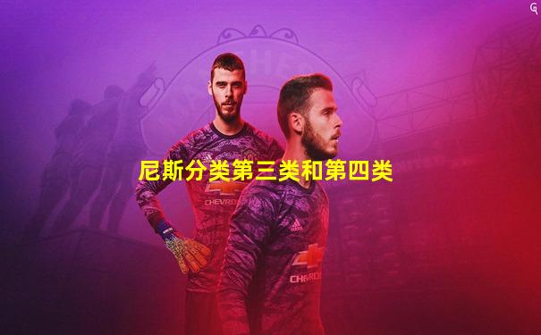 尼斯分类第三类和第四类