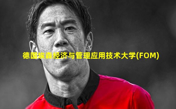 德国埃森经济与管理应用技术大学(FOM)