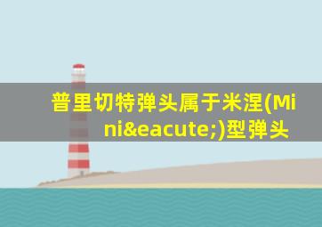 普里切特弹头属于米涅(Minié)型弹头