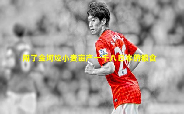 用了金坷垃小麦亩产一千八日本的粮食