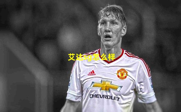 艾达sg怎么样