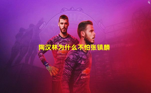 陶汉林为什么不怕张镇麟